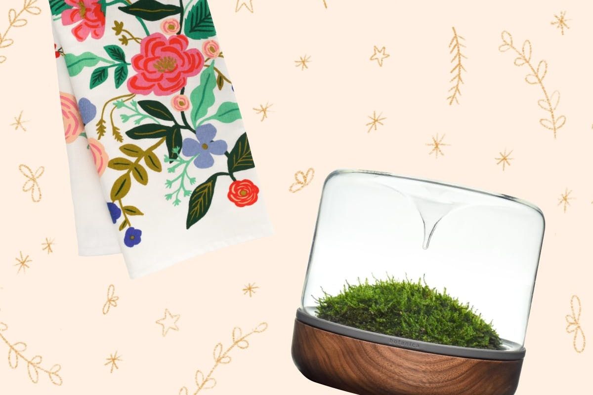 Creative Holiday Gifts for the Plant Lady in Your Life