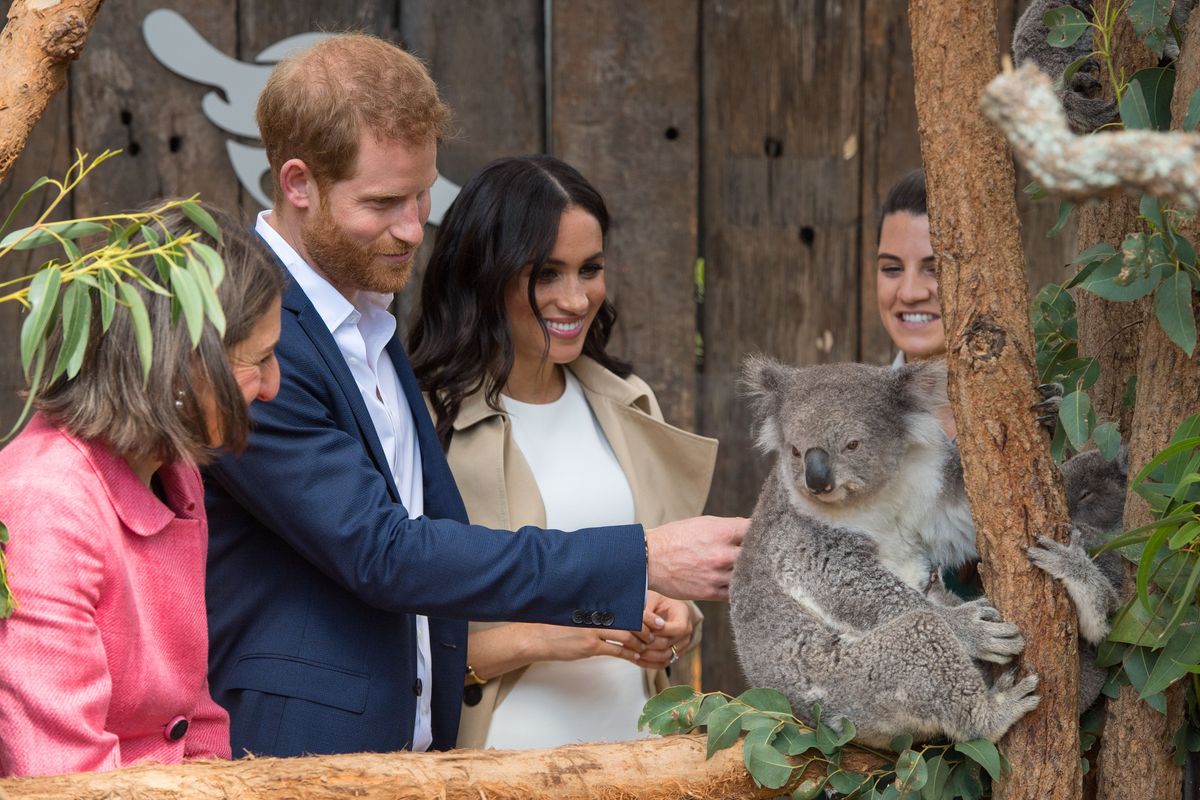 All the Highlights from Prince Harry and Meghan Markle’s Fall 2018 Royal Tour