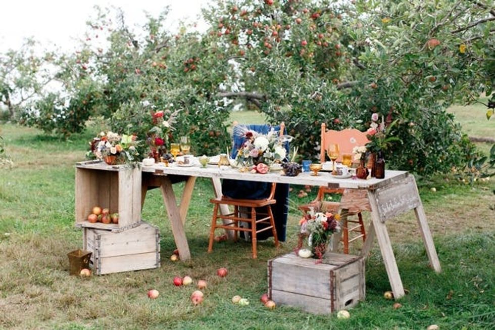 Stunning Apple Orchard Weddings to Adore! Brit + Co
