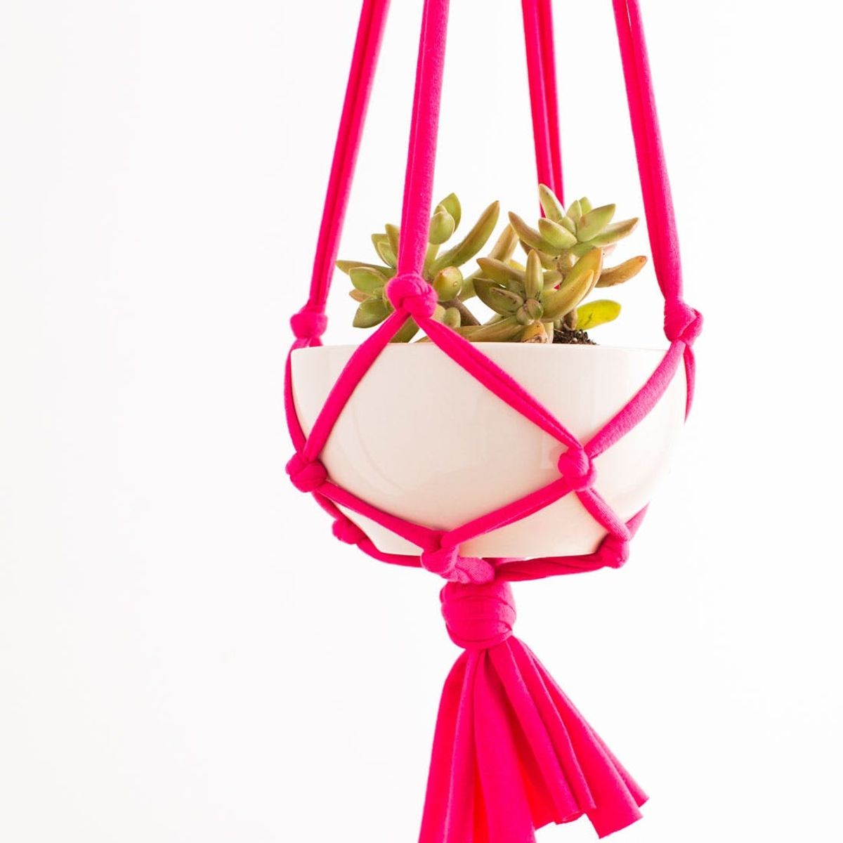 Make These Macrame Hanging Planters in 30 Minutes!