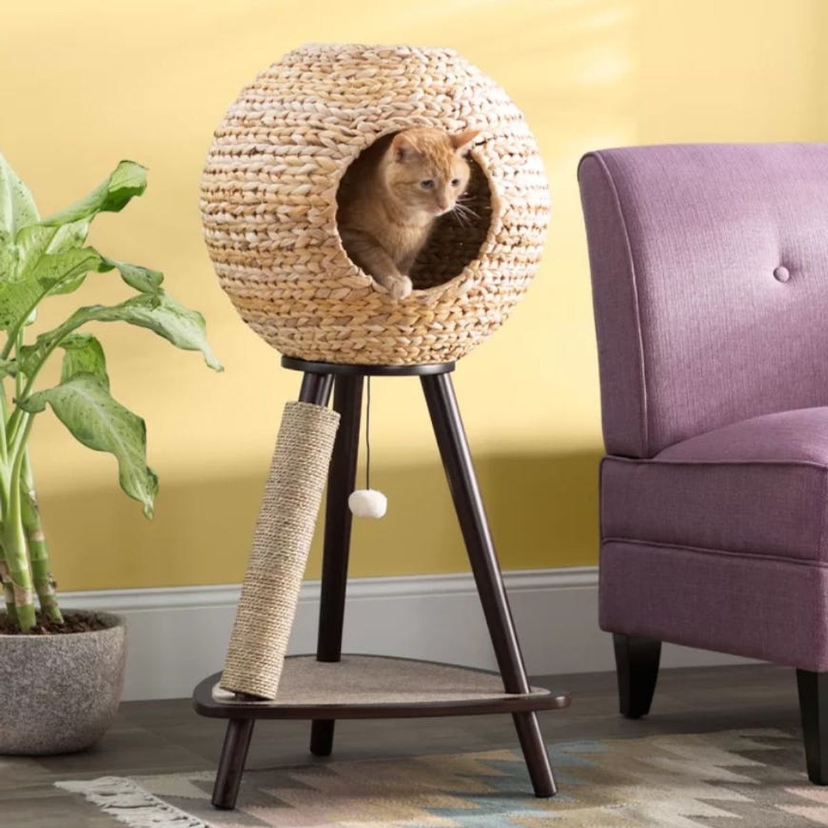 Wayfair’s New Pet Furniture Line Is Paws-itively Adorable