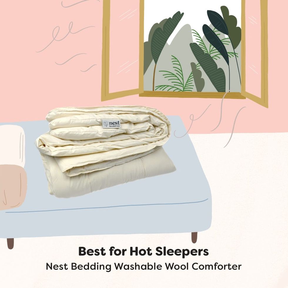 6 Best Comforters for YearRound Snuggles Brit + Co