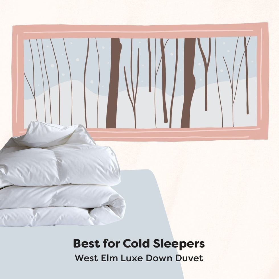 6 Best Comforters for YearRound Snuggles Brit + Co