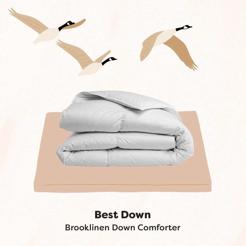 6 Best Comforters for YearRound Snuggles Brit + Co
