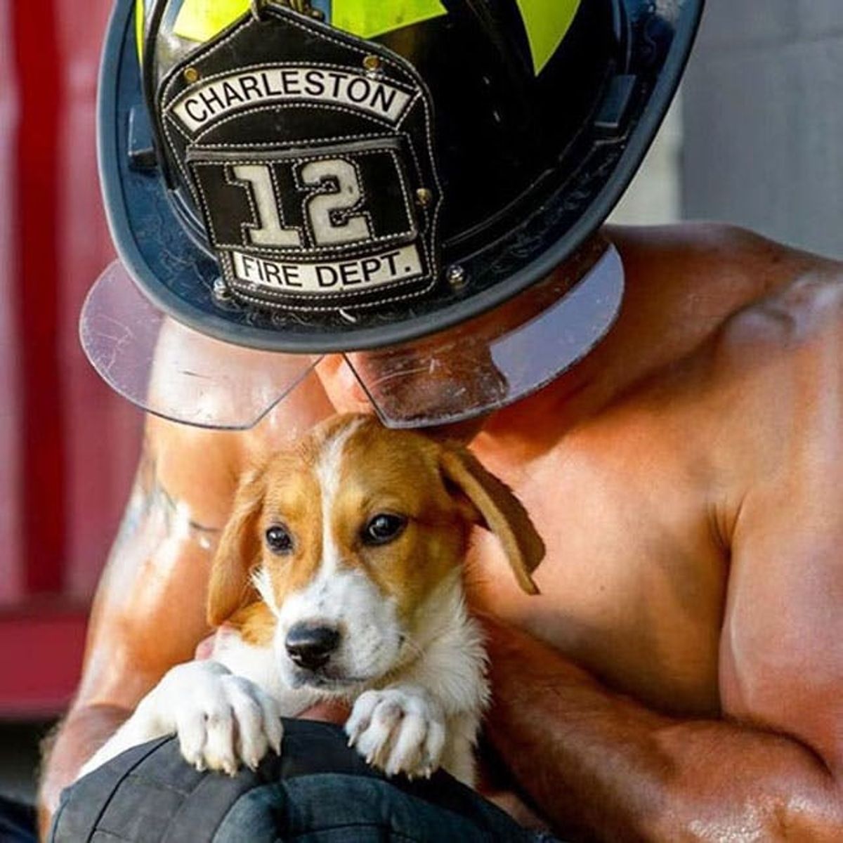 The BritList: Firefighters, Puppies and The Oregon Trail