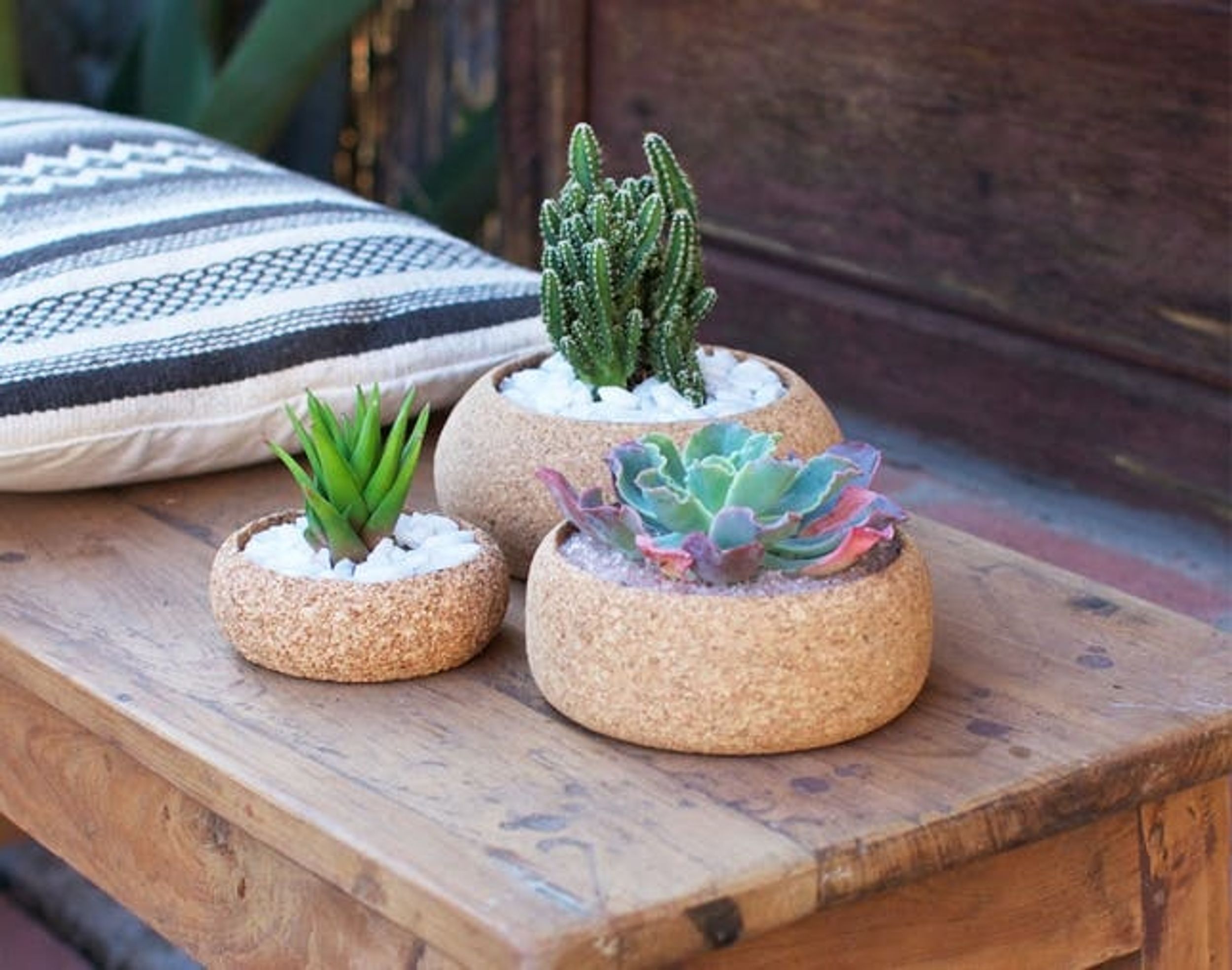 9 Pretty Plant-Inspired Products
