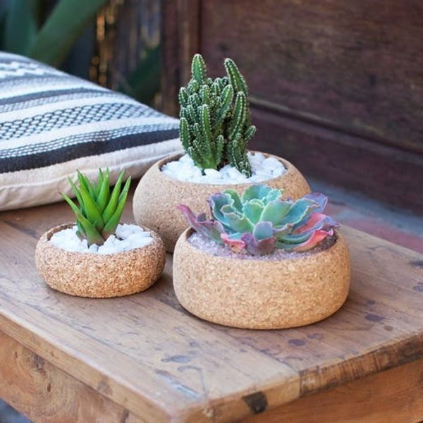 9 Pretty Plant-Inspired Products