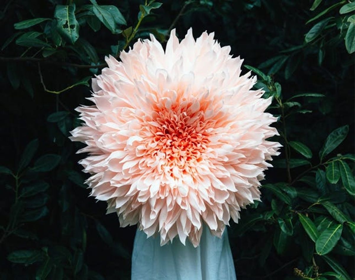 Made Us Look: The Biggest Paper Flowers We’ve Ever Seen