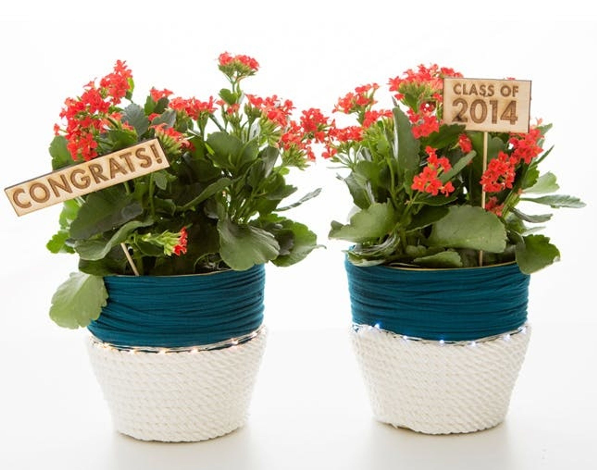 Grad Gift Idea: A DIY LED Planter in Your School Colors