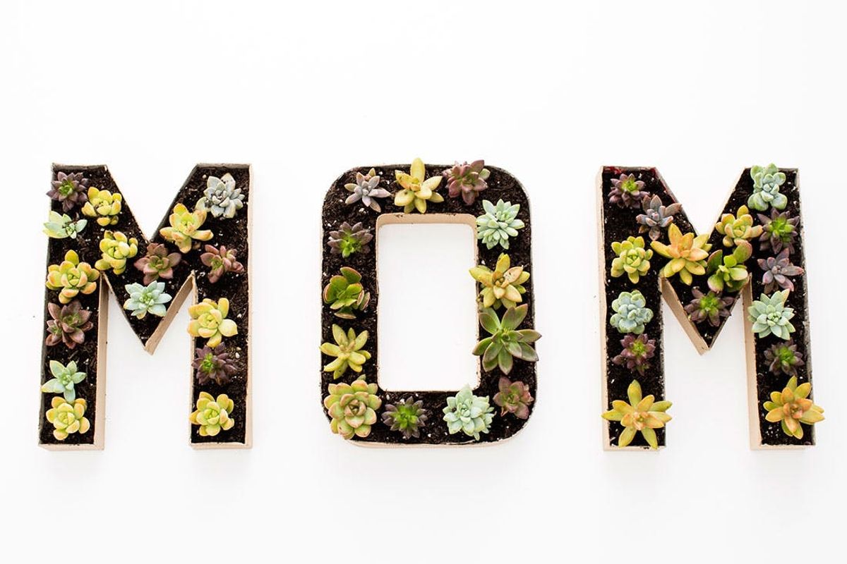 3 Modern DIY Planters to Gift Mom on Mother’s Day