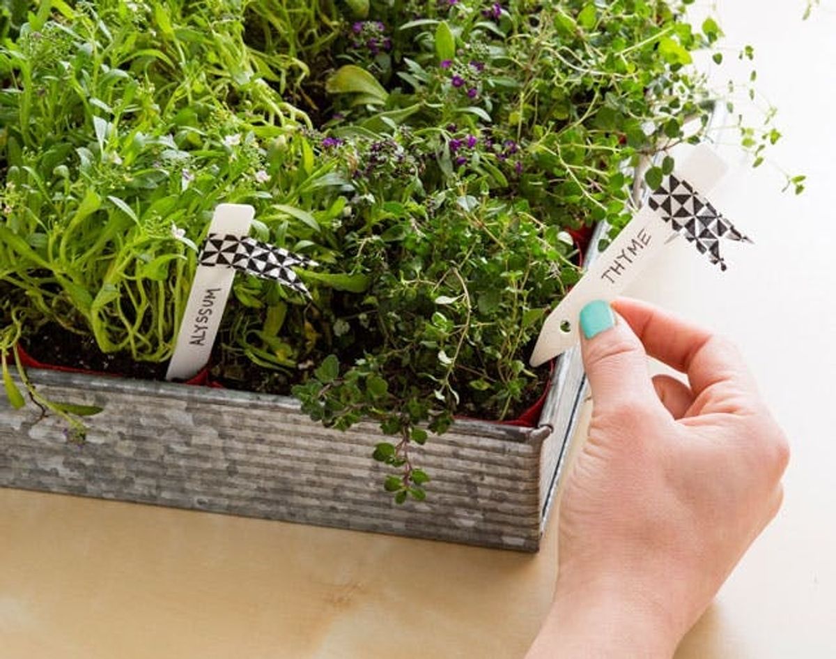How to Make a Portable Perennial Garden