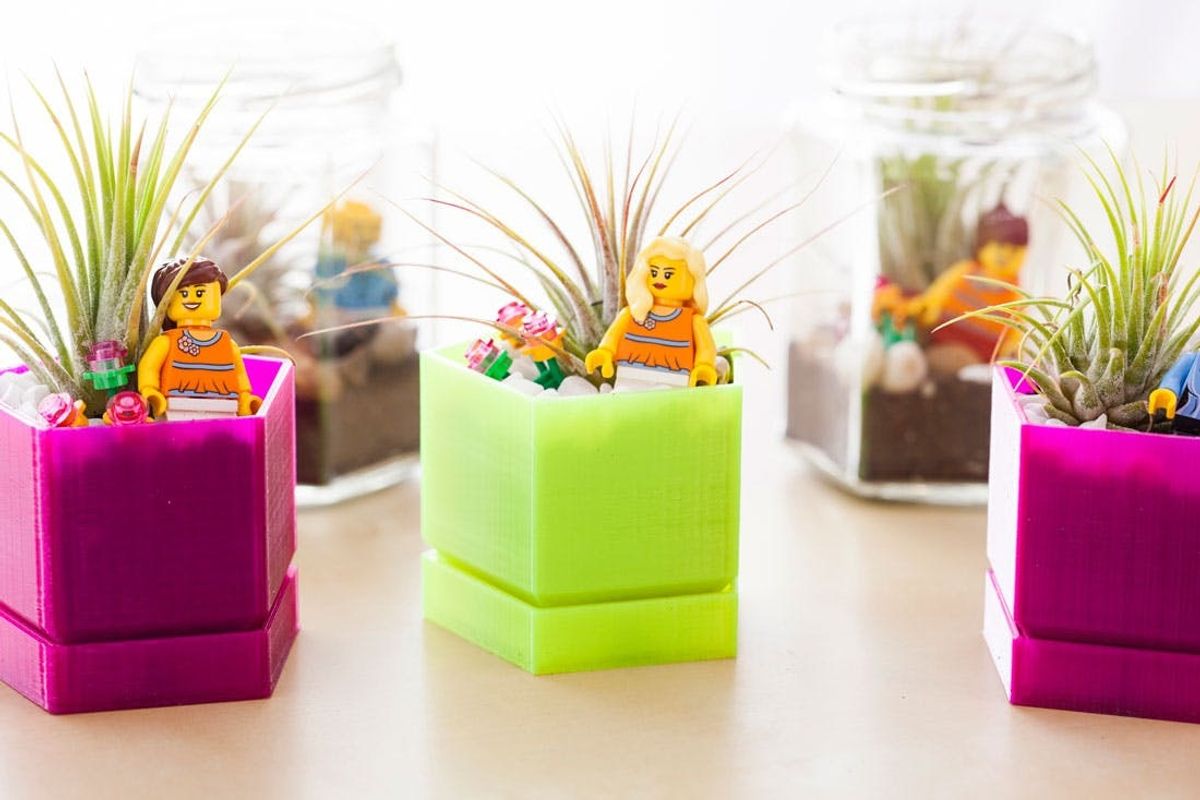 What Do LEGOs, Air Plants and a 3D Printer Have in Common? These Terrariums!