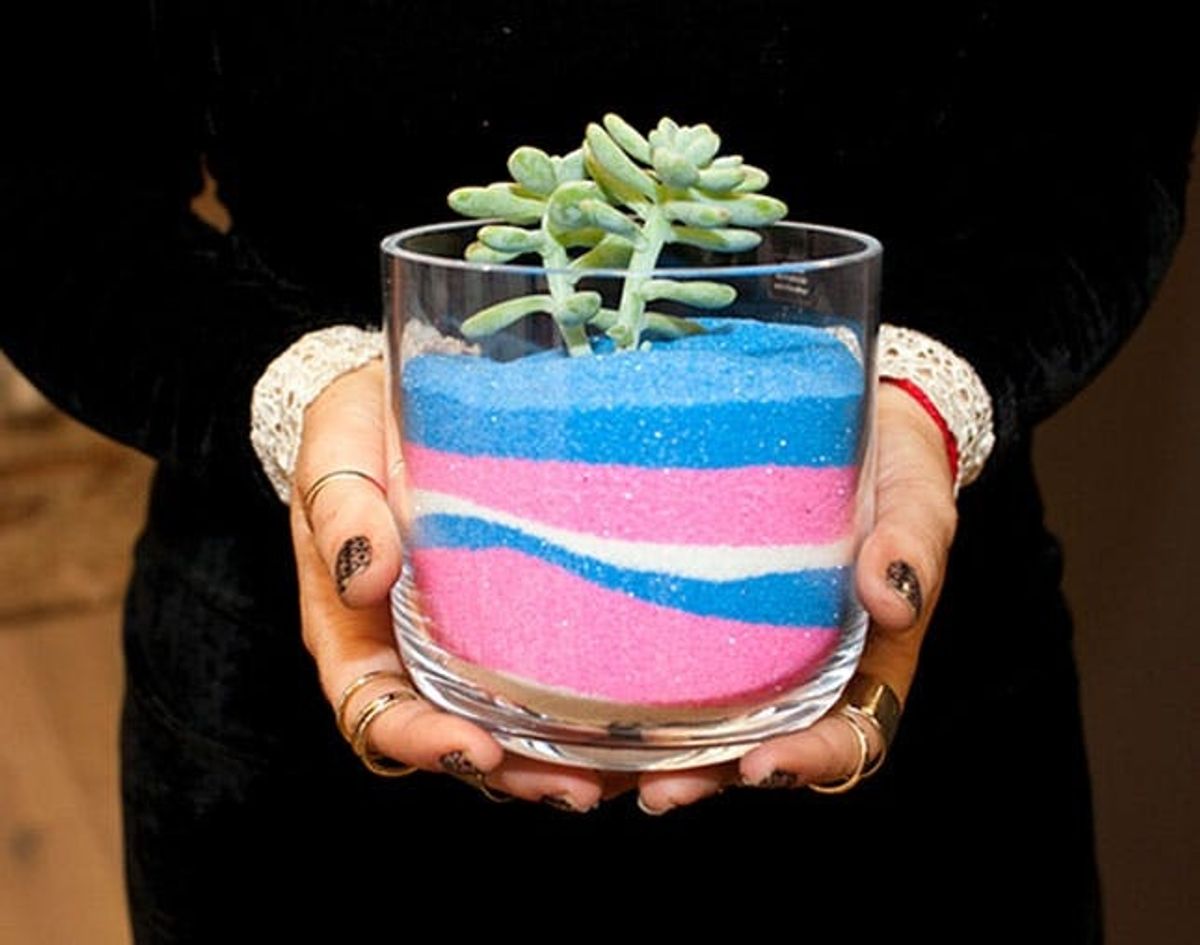Summer Camp 2.0: DIY Succulent Sand Art Terrariums
