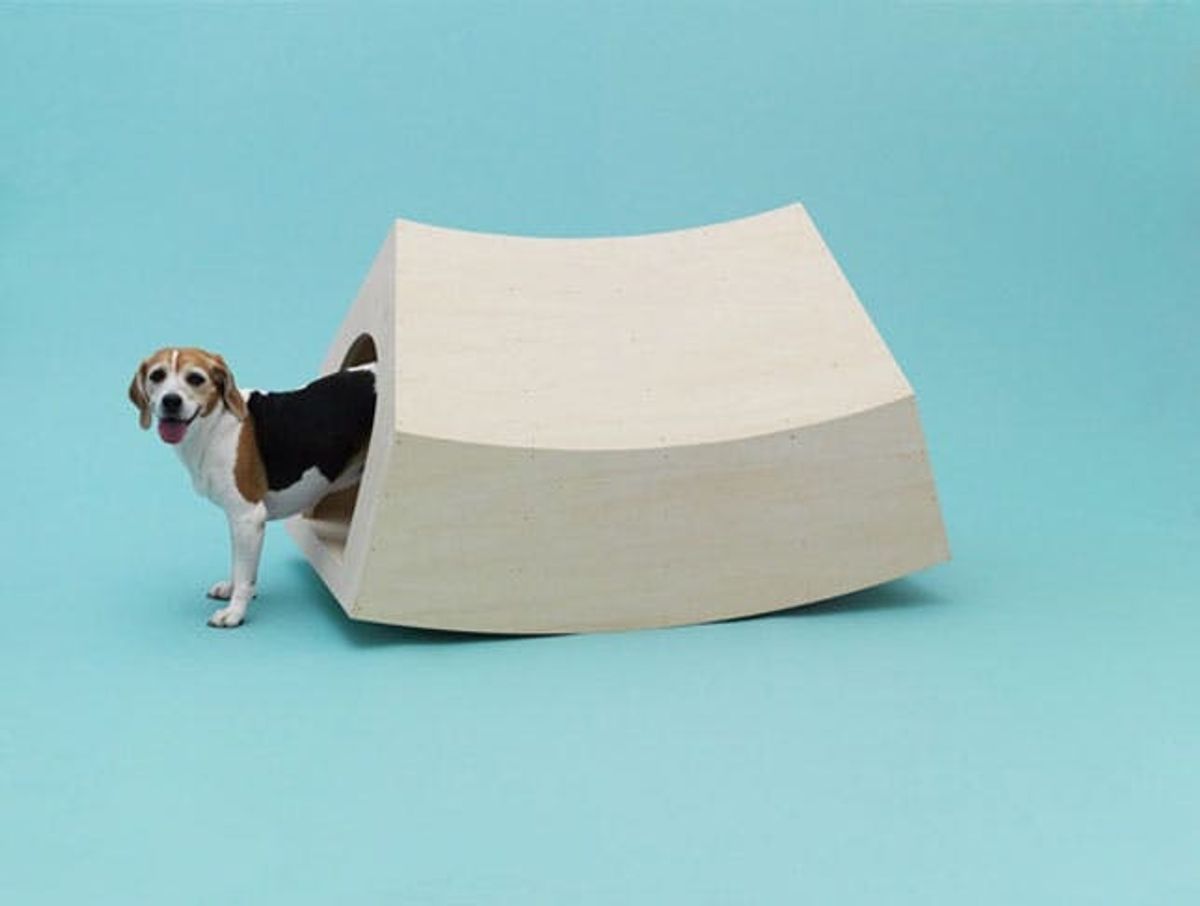 Made Us Look: Architecture for Dogs (+ Blueprints You Can Download!)