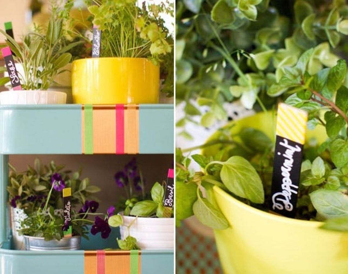 Go Green: A Rolling Herb Garden with Neon Plant Markers
