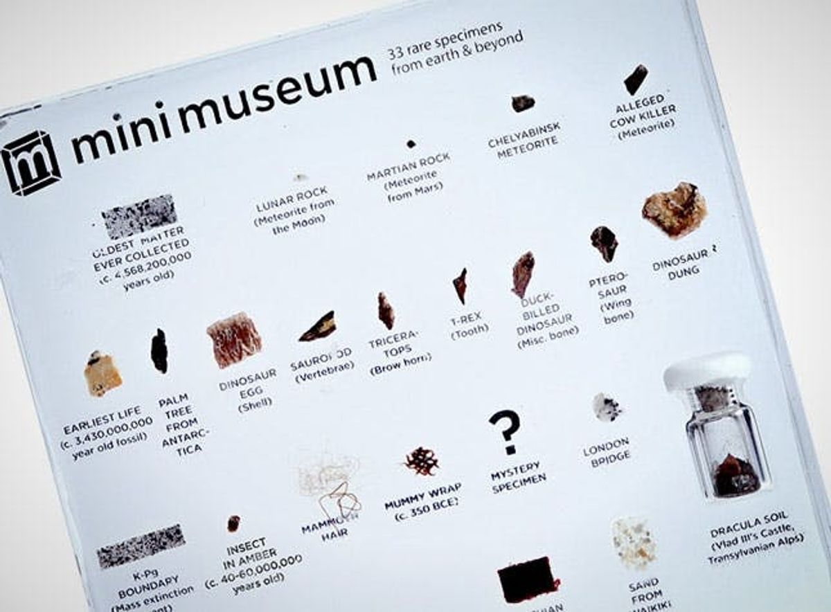 A Natural History Museum That Fits in Your Pocket