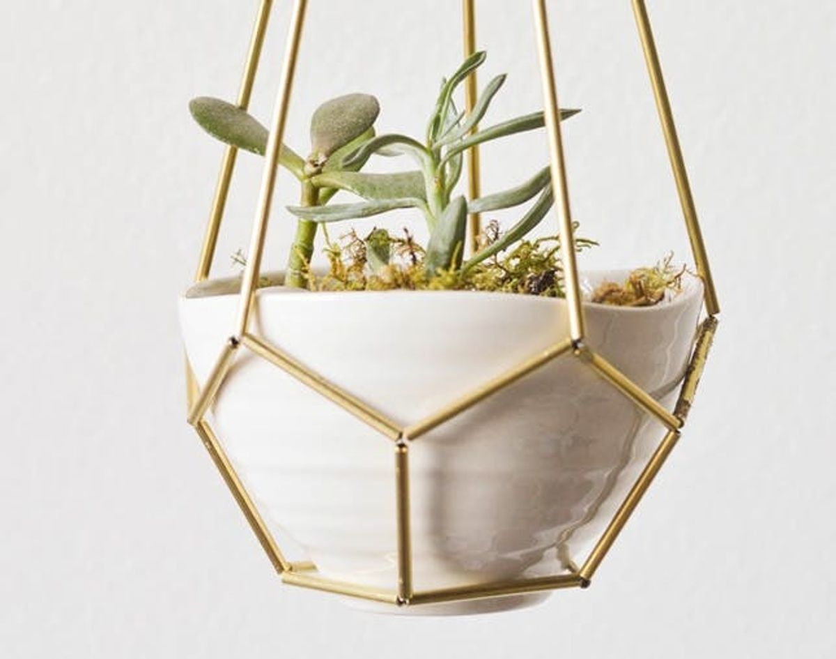 Shoutout: DIY Leather and Brass Teardrop Hanging Planter
