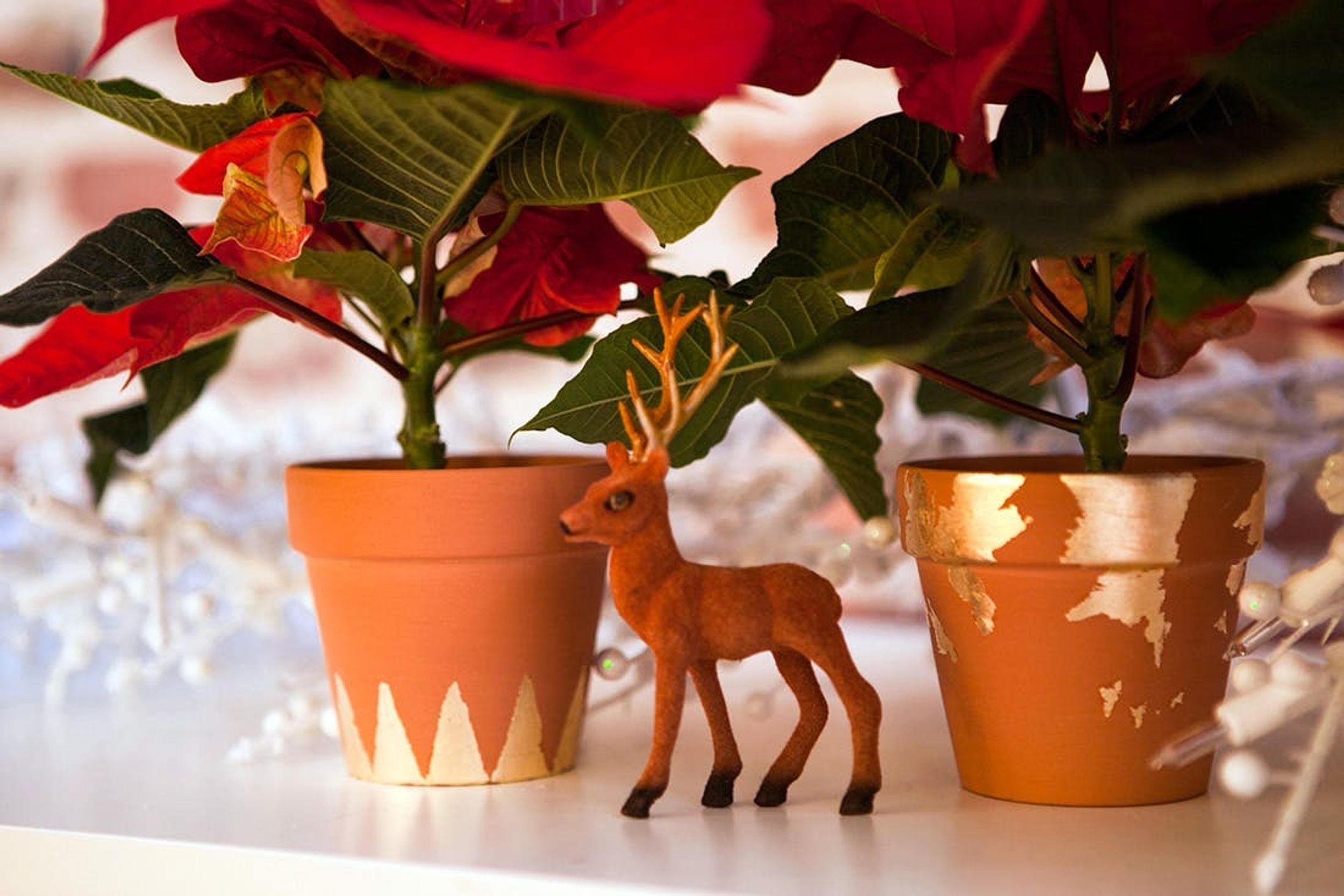 Put Those Poinsettias in DIY Gold Leaf Flower Pots!