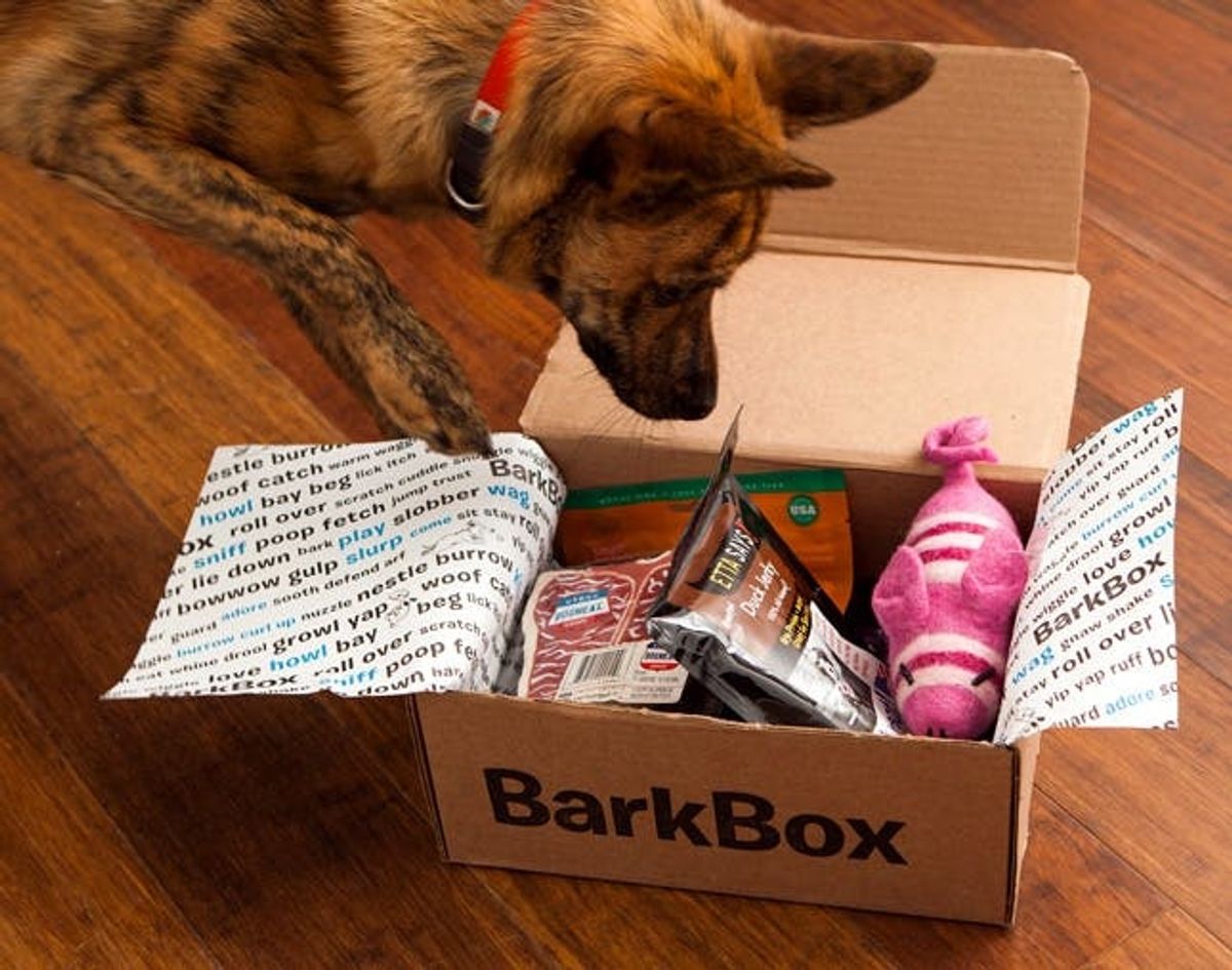 Win One Year of Dog Toys and Treats! ($200 BarkBox Giveaway)