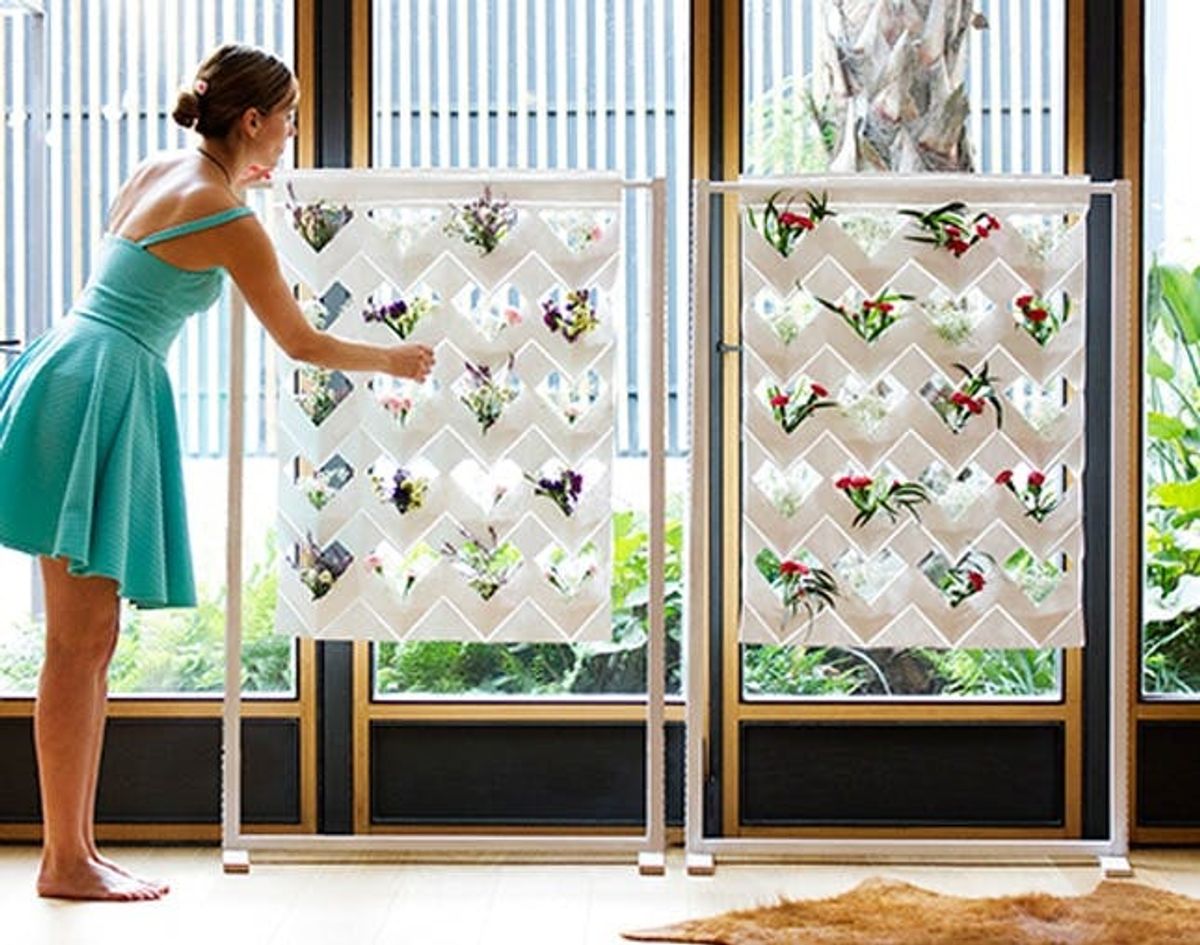 A Beautiful Vertical Garden and Curtain in One