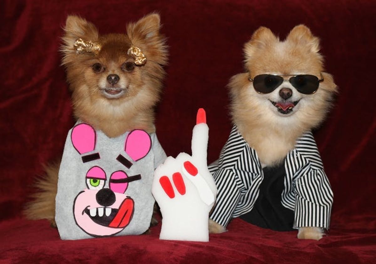 Woof! Announcing the Winners of Our Dog Costume Contest!