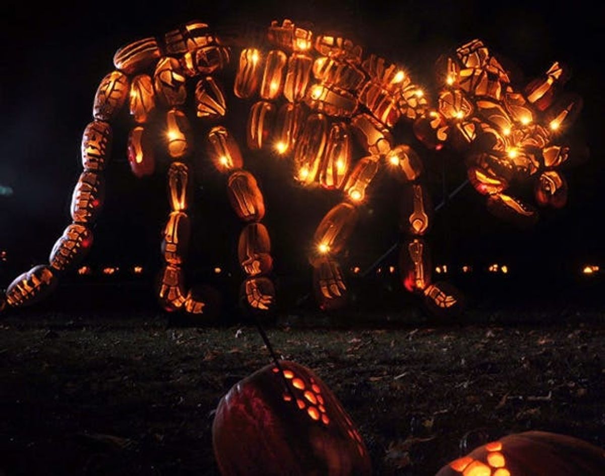 Made Us Look: Life Size Dinosaurs Made from Pumpkins!
