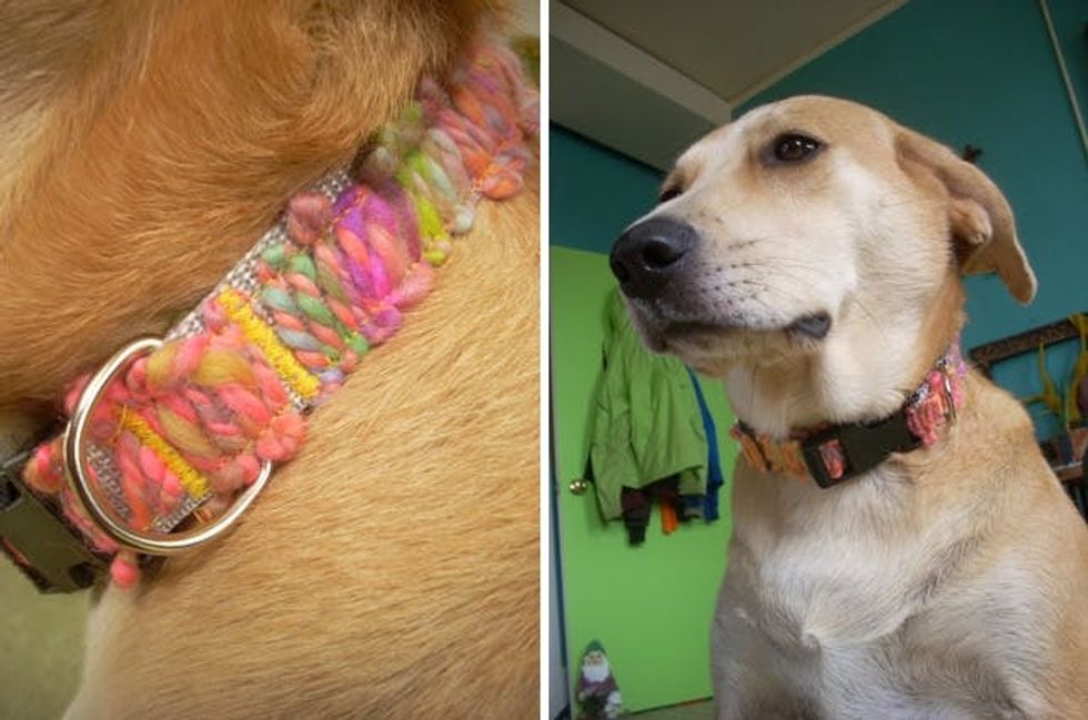 10 Fetching DIY Dog Collars - Brit + Co