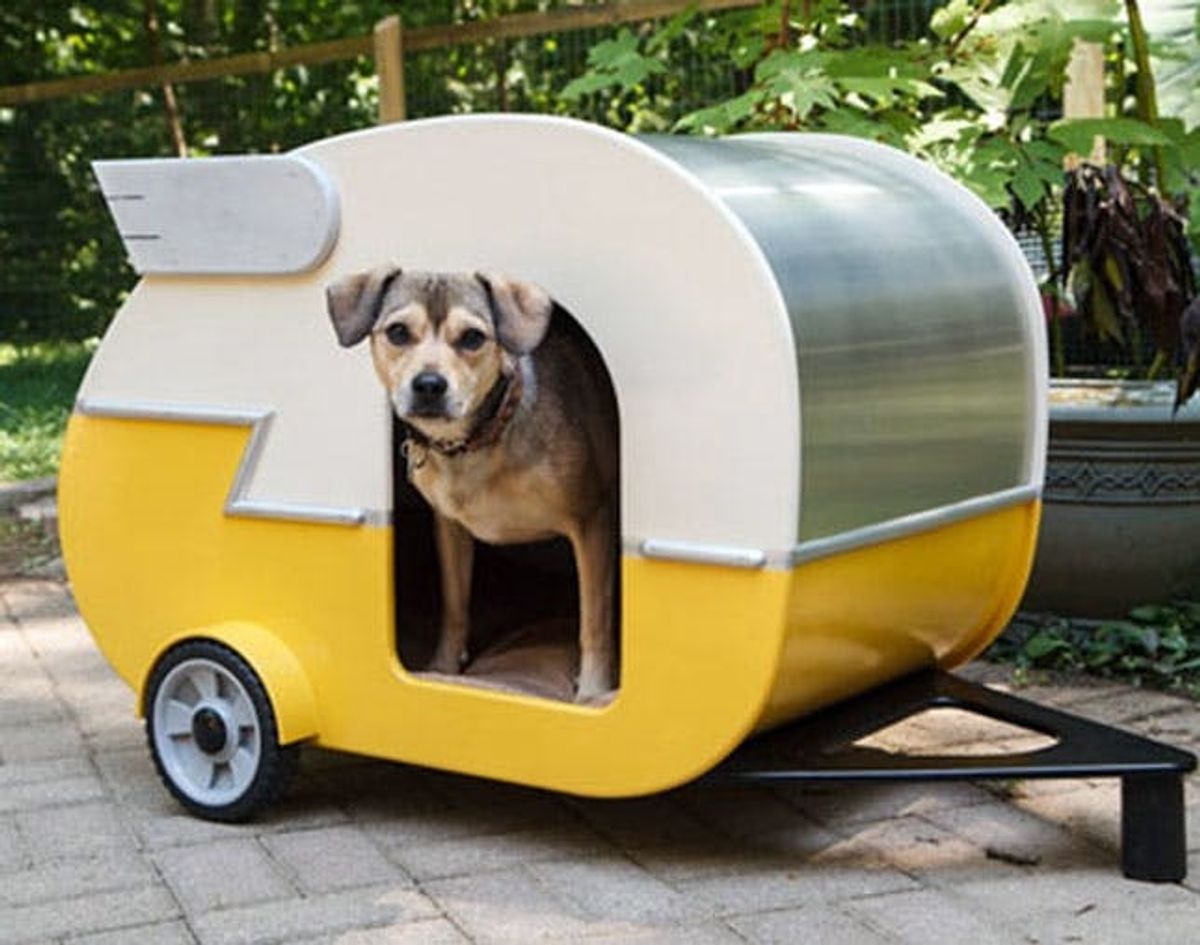 15 Well-Designed Doghouses