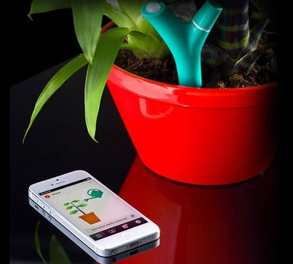 5 Activity Trackers… for Your Plants!