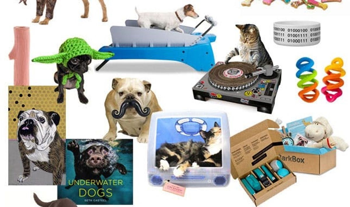 20 Great Gifts for Geeky Pet Owners