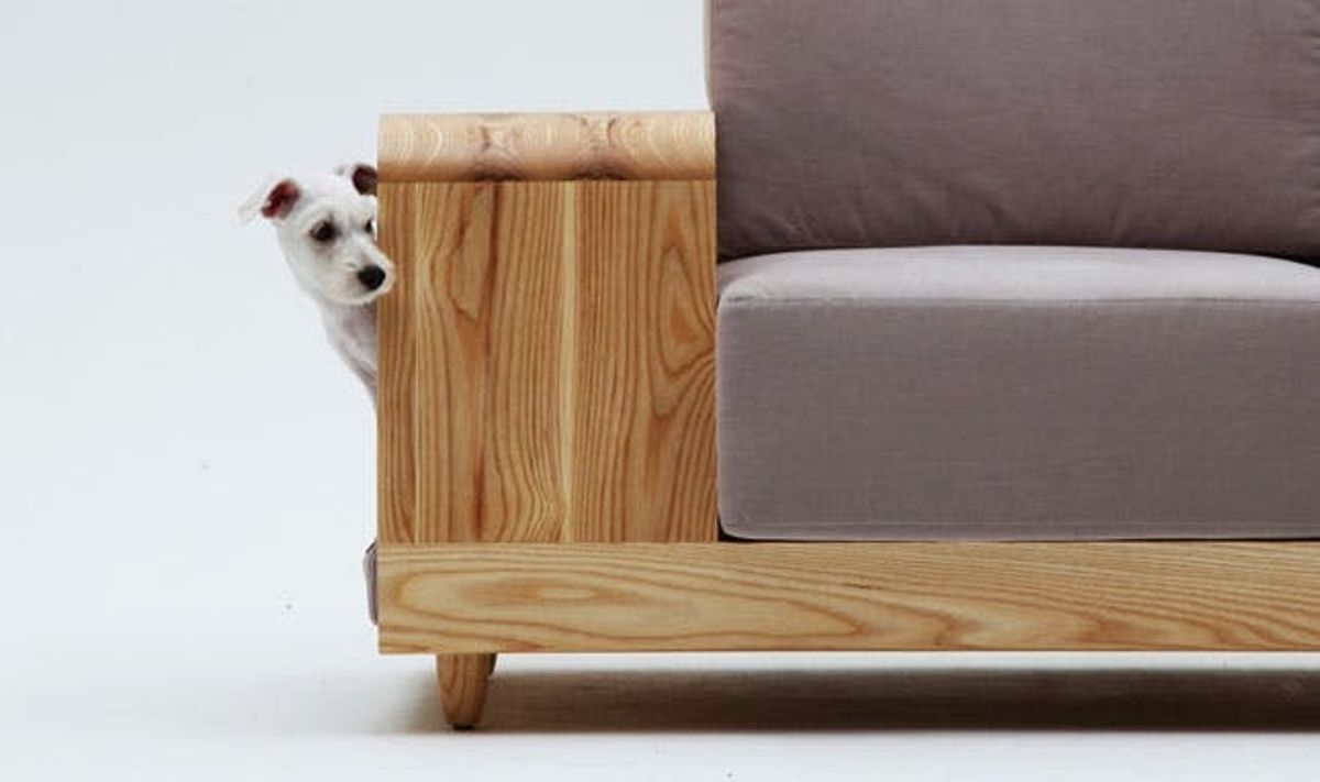 The BritList: The Dog House Sofa, Cat Bounce + More