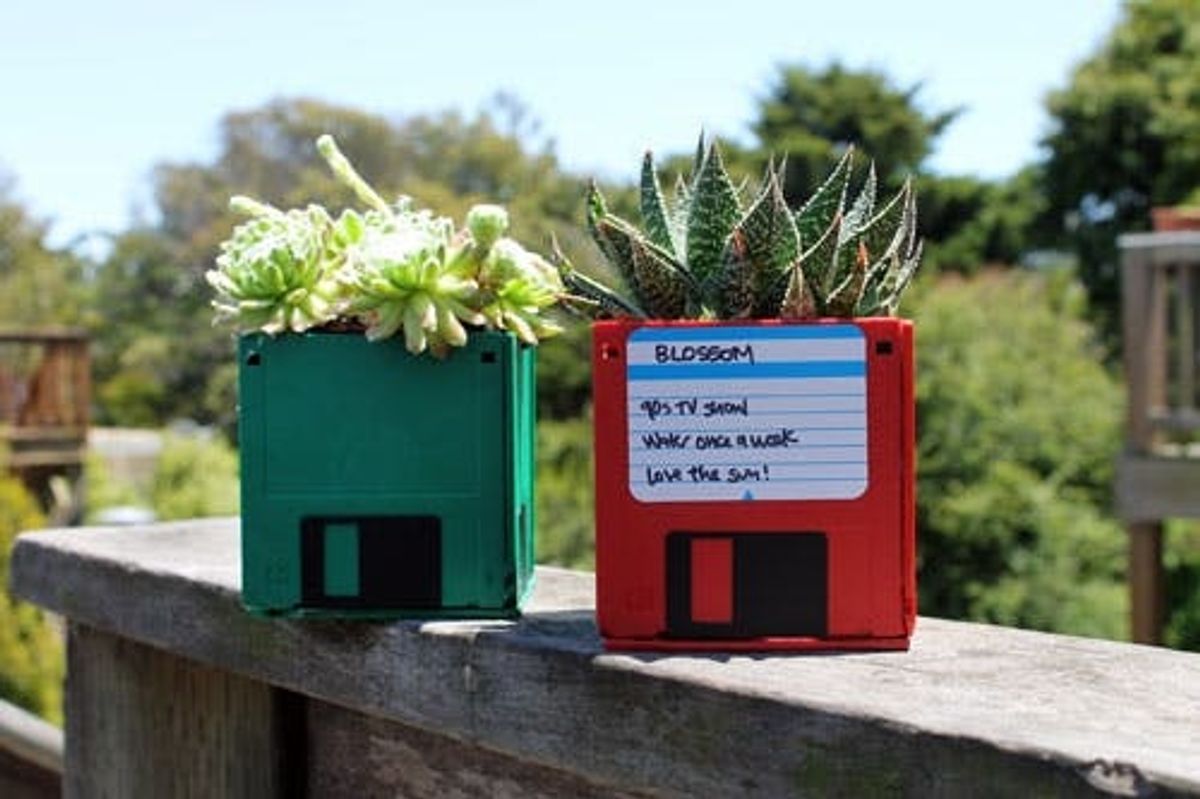 DIY Floppy Disk Planters