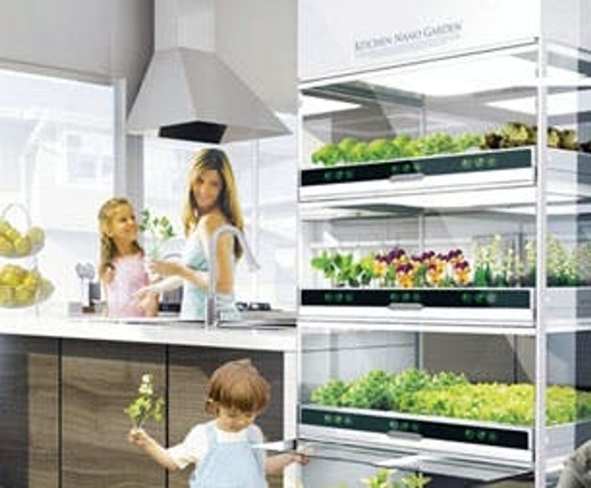 The Nano Garden Lets You Grow Veggies Right in Your Kitchen