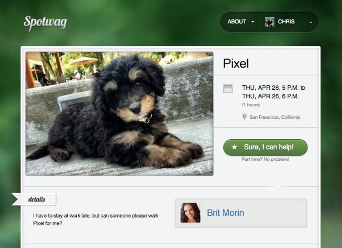 Spotwag Helps You Find a Pet Sitter Among Your Friends