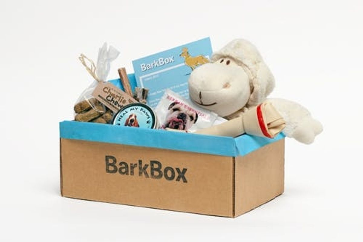 Got A Dog? Sign It Up For BarkBox! (Giveaway)