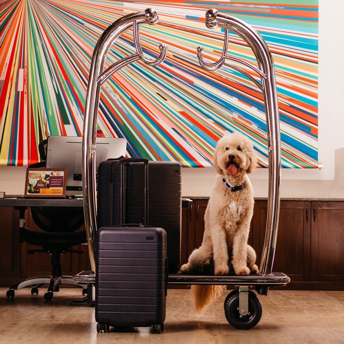 The 9 Most Pet-Friendly Hotels in the US