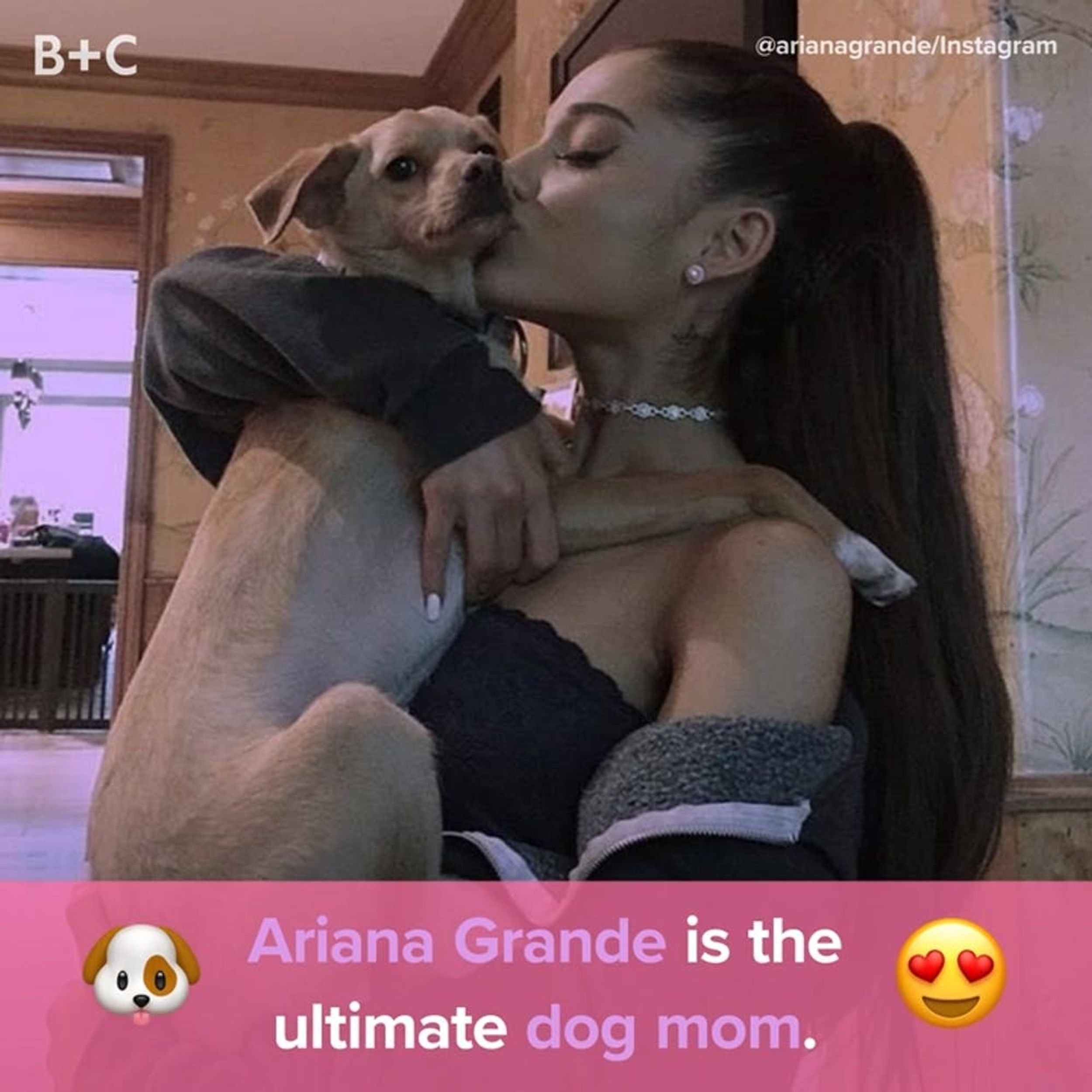 Proof That Ariana Grande Is the Ultimate Dog Mom