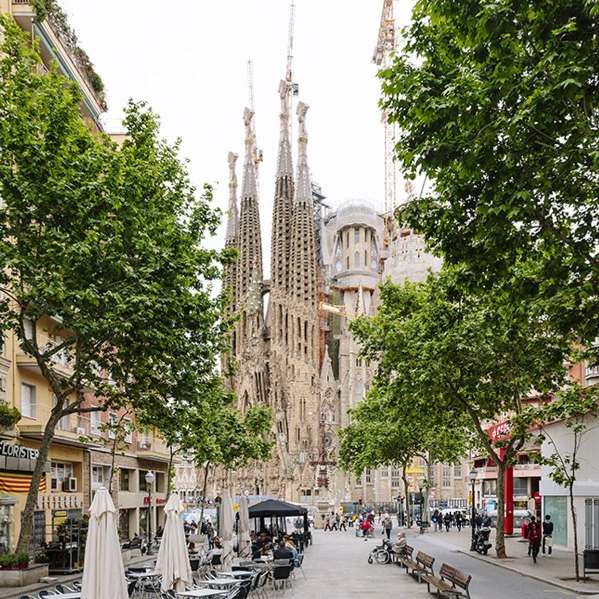 Your Travel Guide to Living La Vida Loca in Barcelona