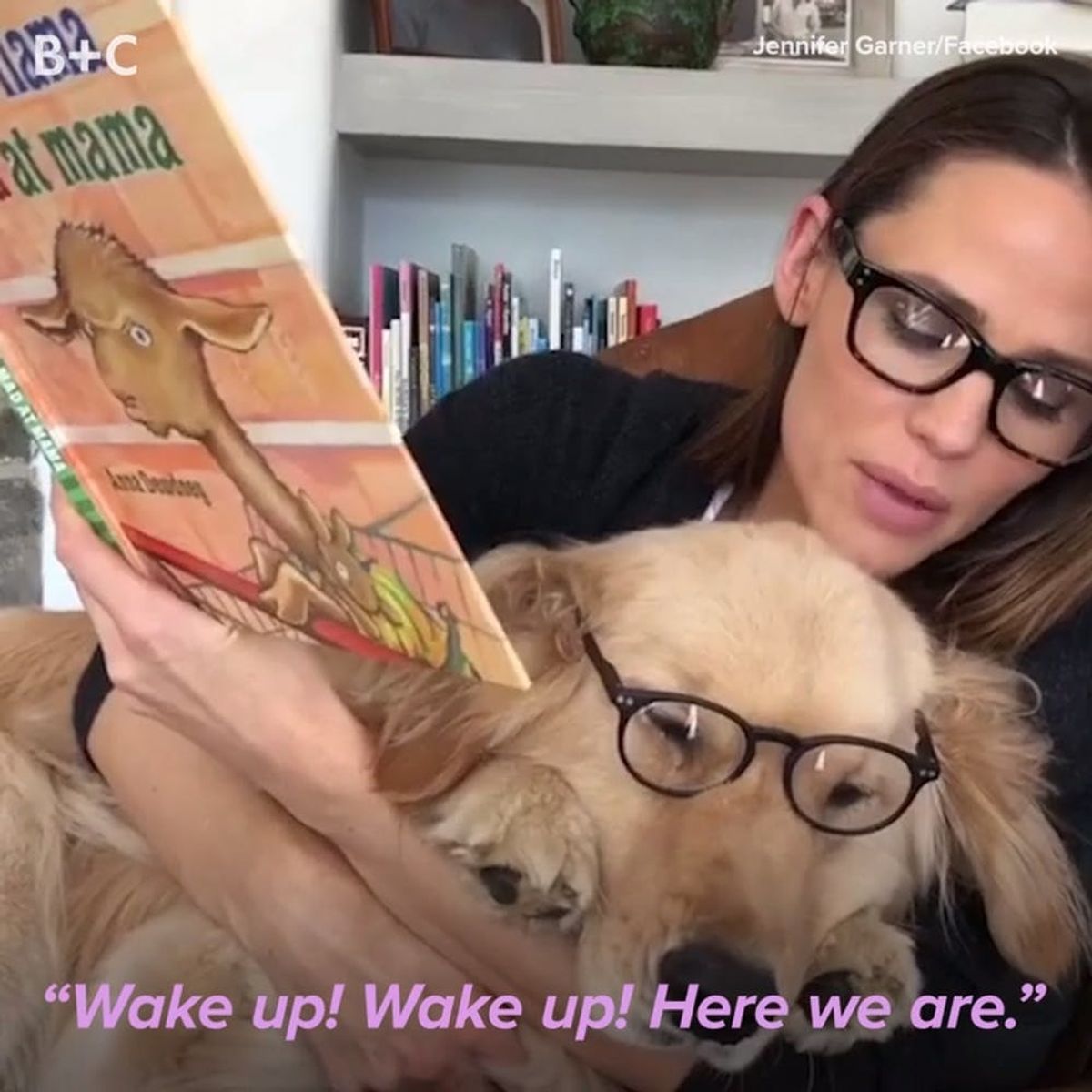 Jennifer Garner Reading to Her Dog Is the Best Thing Youâ€™ll See All Day