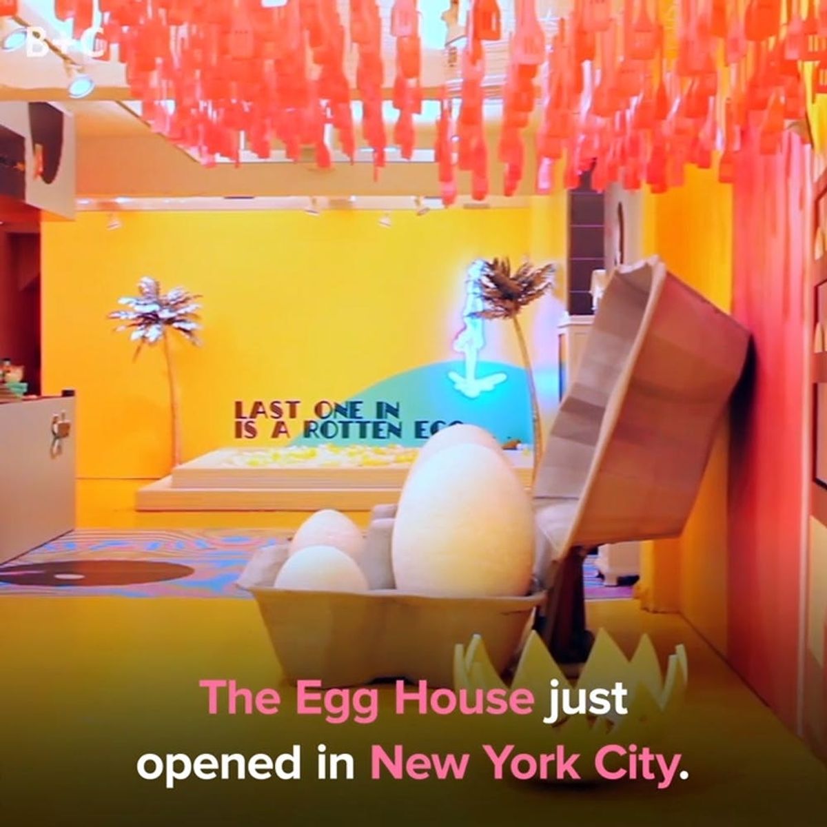 Proof That the Egg House in NYC Is a Breakfast Paradise