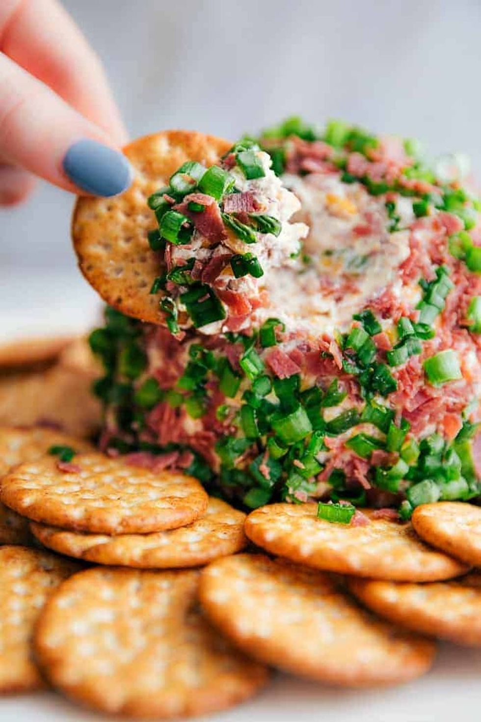 20 Epic Cheese Ball Appetizer Recipes Brit + Co