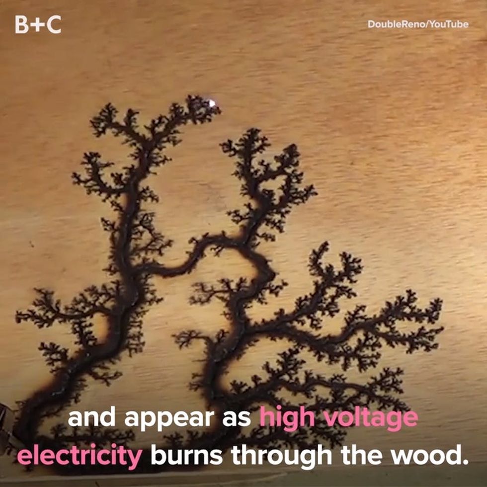 Proof That Fractal Wood Burning Is LIT