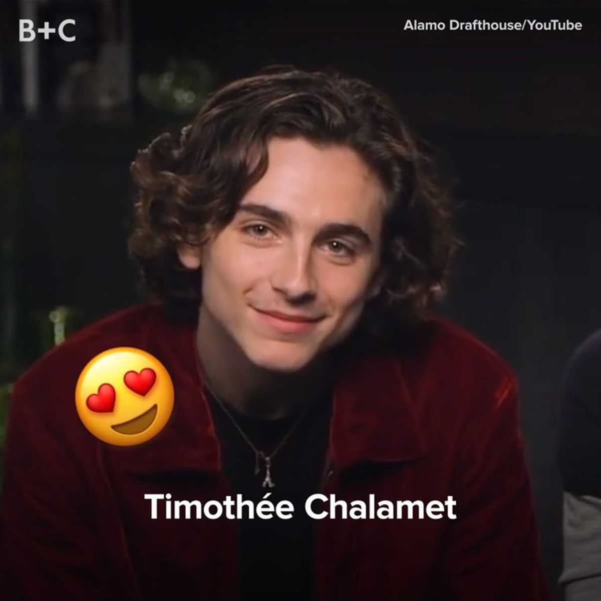 Timothée Chalamet Is Your Next Hollywood Crush