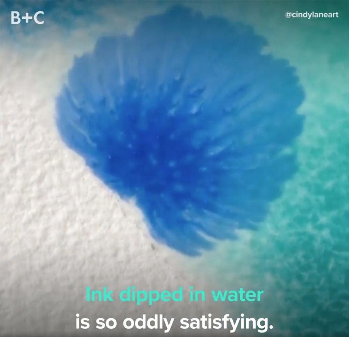 Proof That Ink Dipped In Water Is Completely Mesmerizing