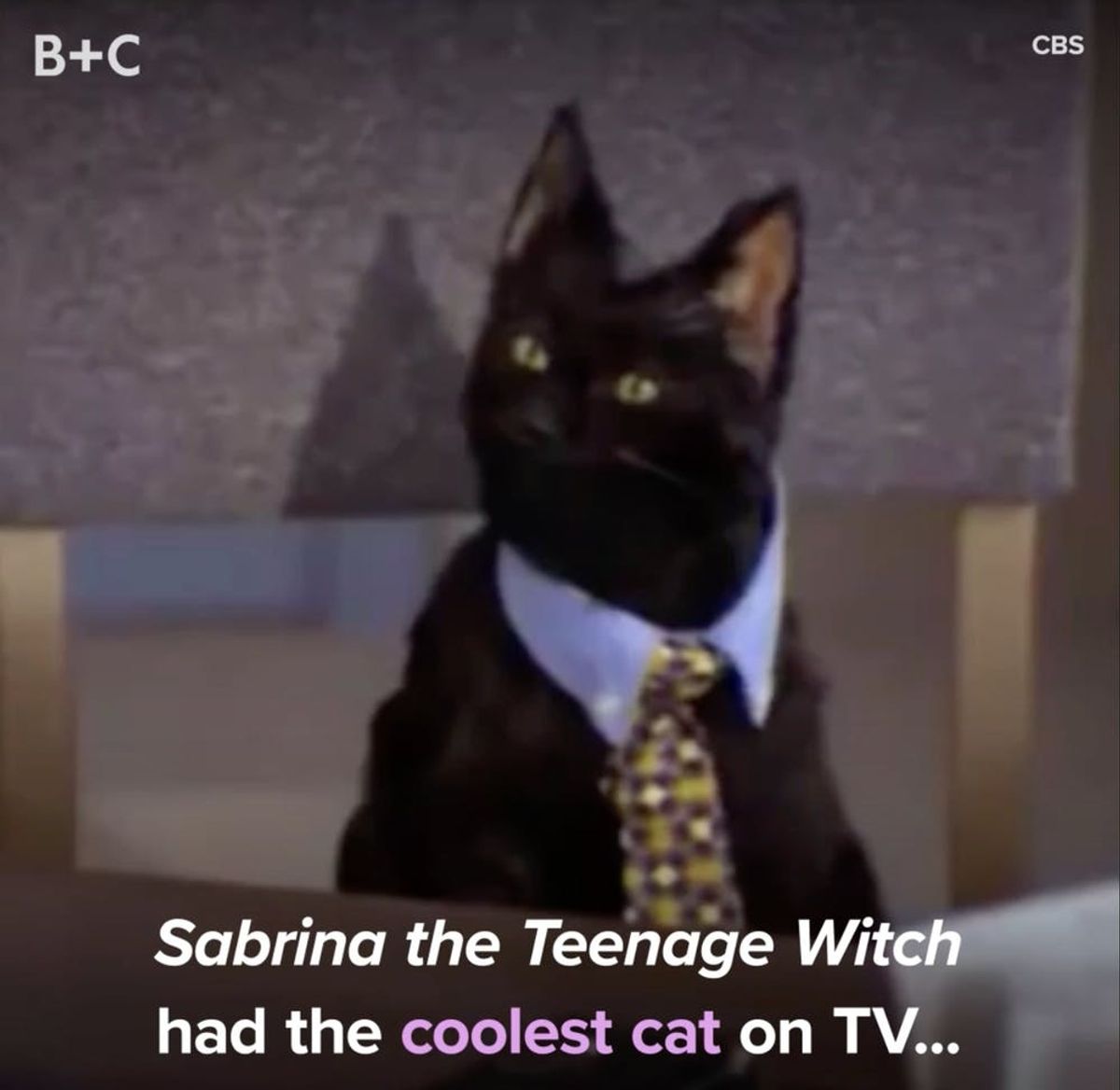 Proof That Salem Is the Coolest TV Cat EVER