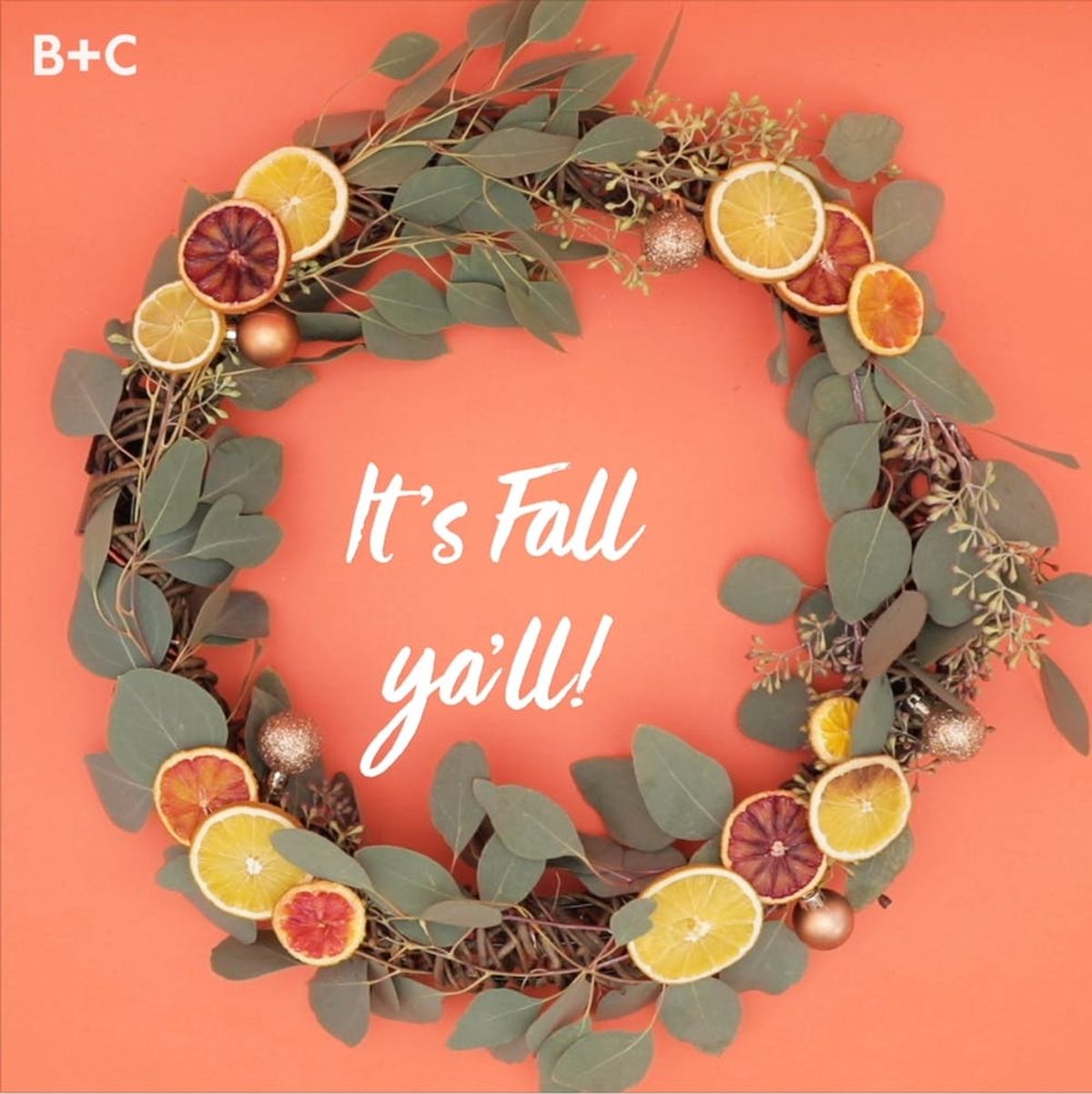 How to make a dried fruit wreath