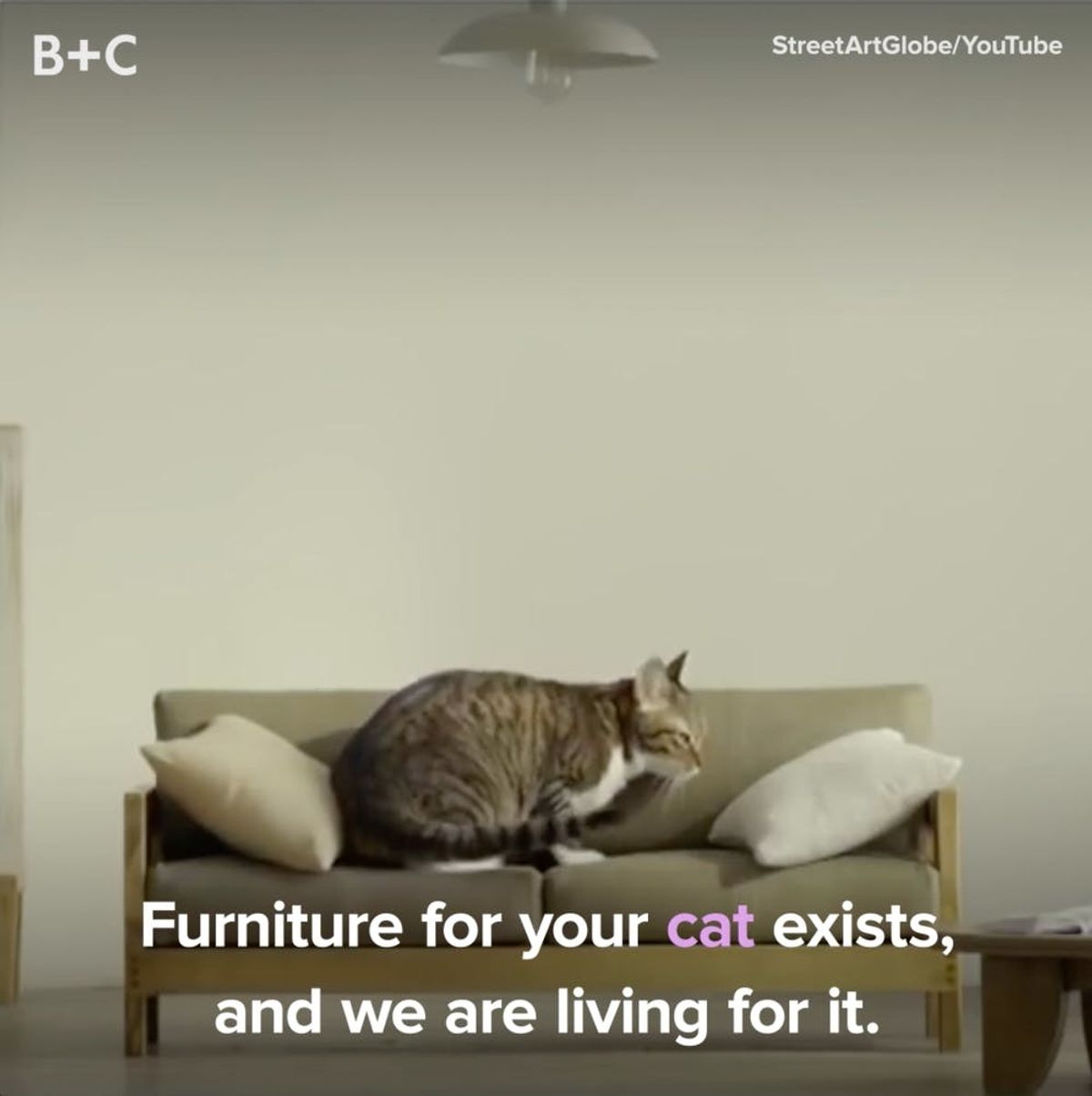 Furniture For Your Cats Is *Officially* a Thing