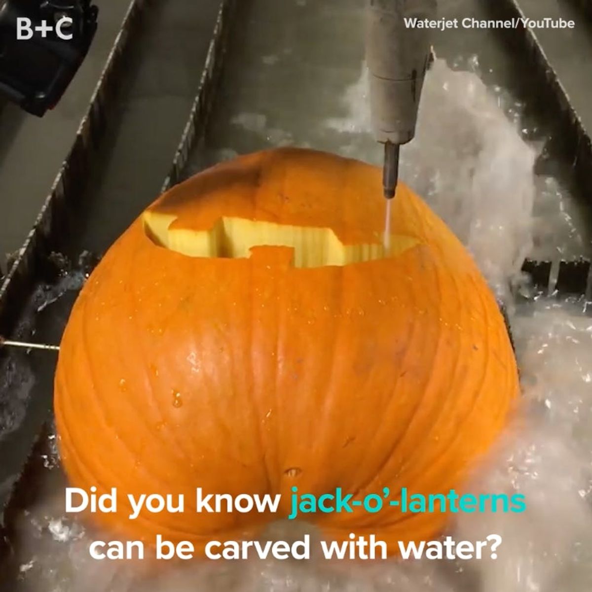 WTF! Pumpkins Can Be Carved With Water