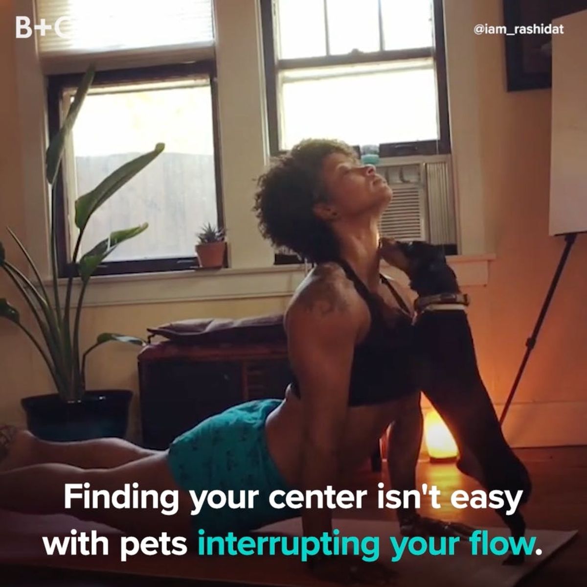 Prepare to LOL at These Pets Interrupting Yoga