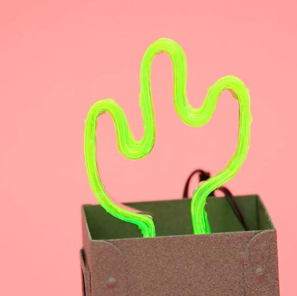 How to DIY a Neon Cactus Light